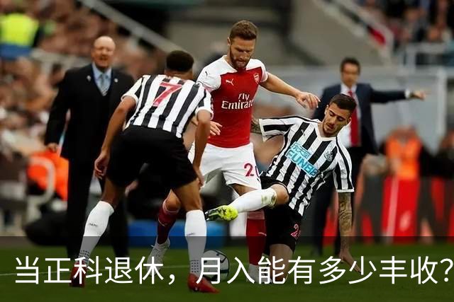 当正科退休，月入能有多少丰收？